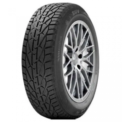 Tigar 205/55 R16 91H TL WINTER TG