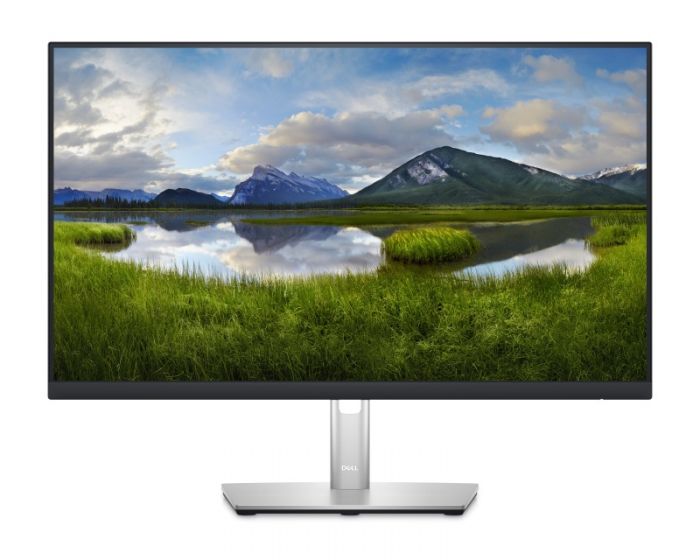 DELL monitor P2422H Professional IPS