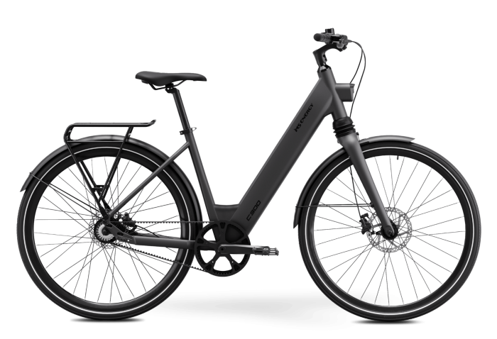MS ENERGY eBike c300 električni bicikl