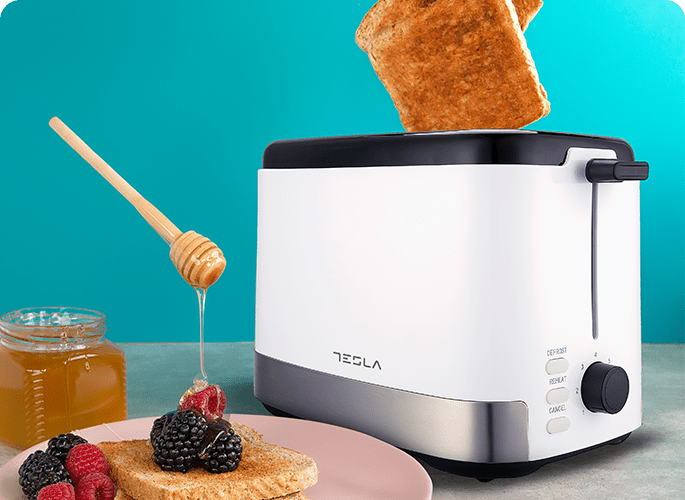 TESLA Toster TS300BWX